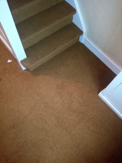 tapijt op de trap